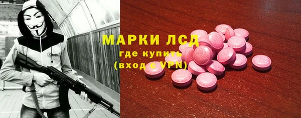 твердый Туринск