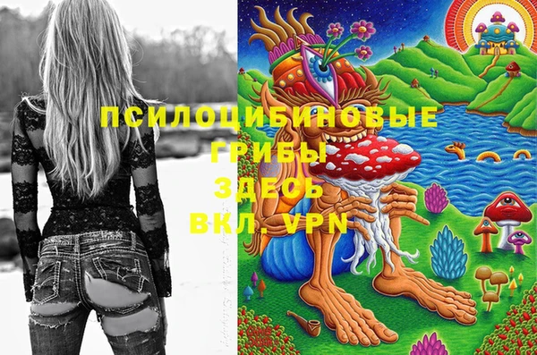тгк Калач