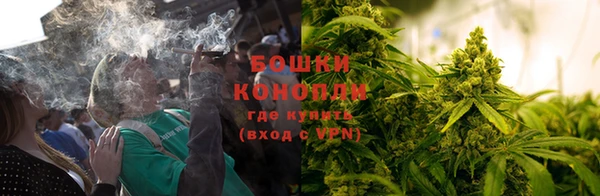 твердый Туринск