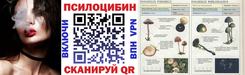 Псилоцибиновые грибы прущие грибы Бирюч