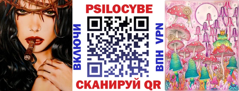 Псилоцибиновые грибы Psilocybine cubensis  Бирюч 